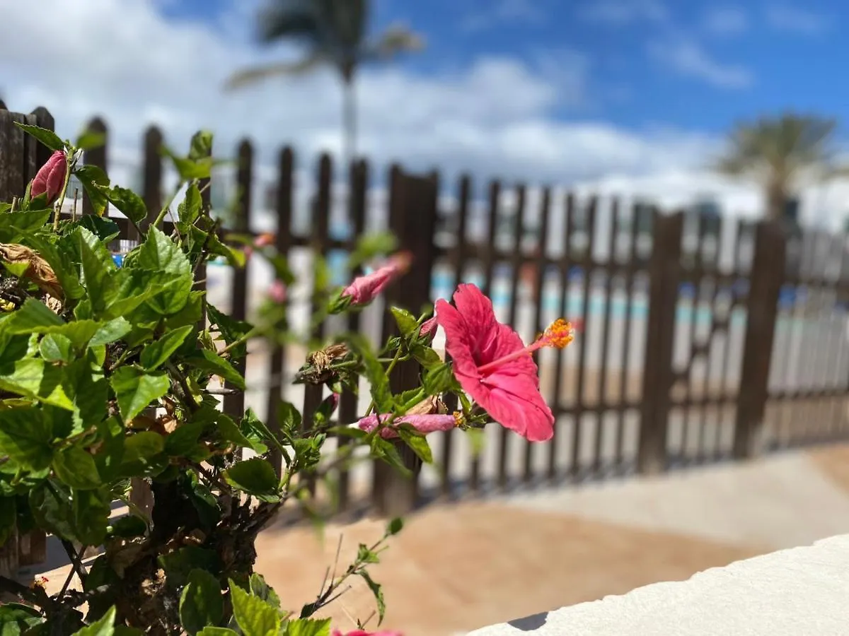 Casa Roxi Con Piscina Comunitaria Apartment Corralejo
